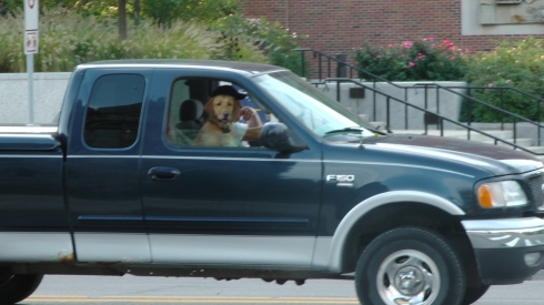 When this truck drove past with the dog in the front seat Ryan screamed and then  said, "oh, I thought that there dog was drivin' that car." I'm laughing just thinking about that.